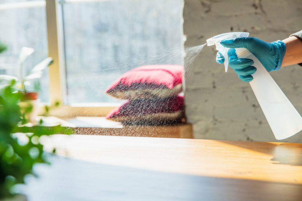 house cleaning services