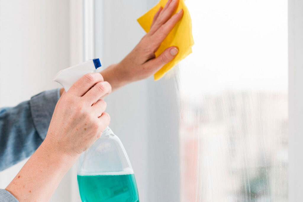 sri lankan domestic service